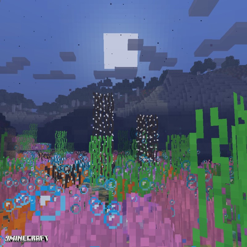 CoralReef Mod